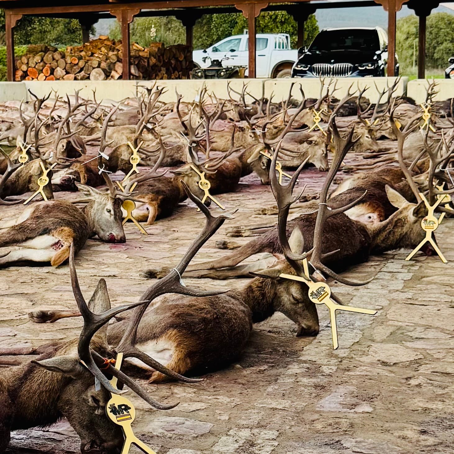 Chasse en Espagne