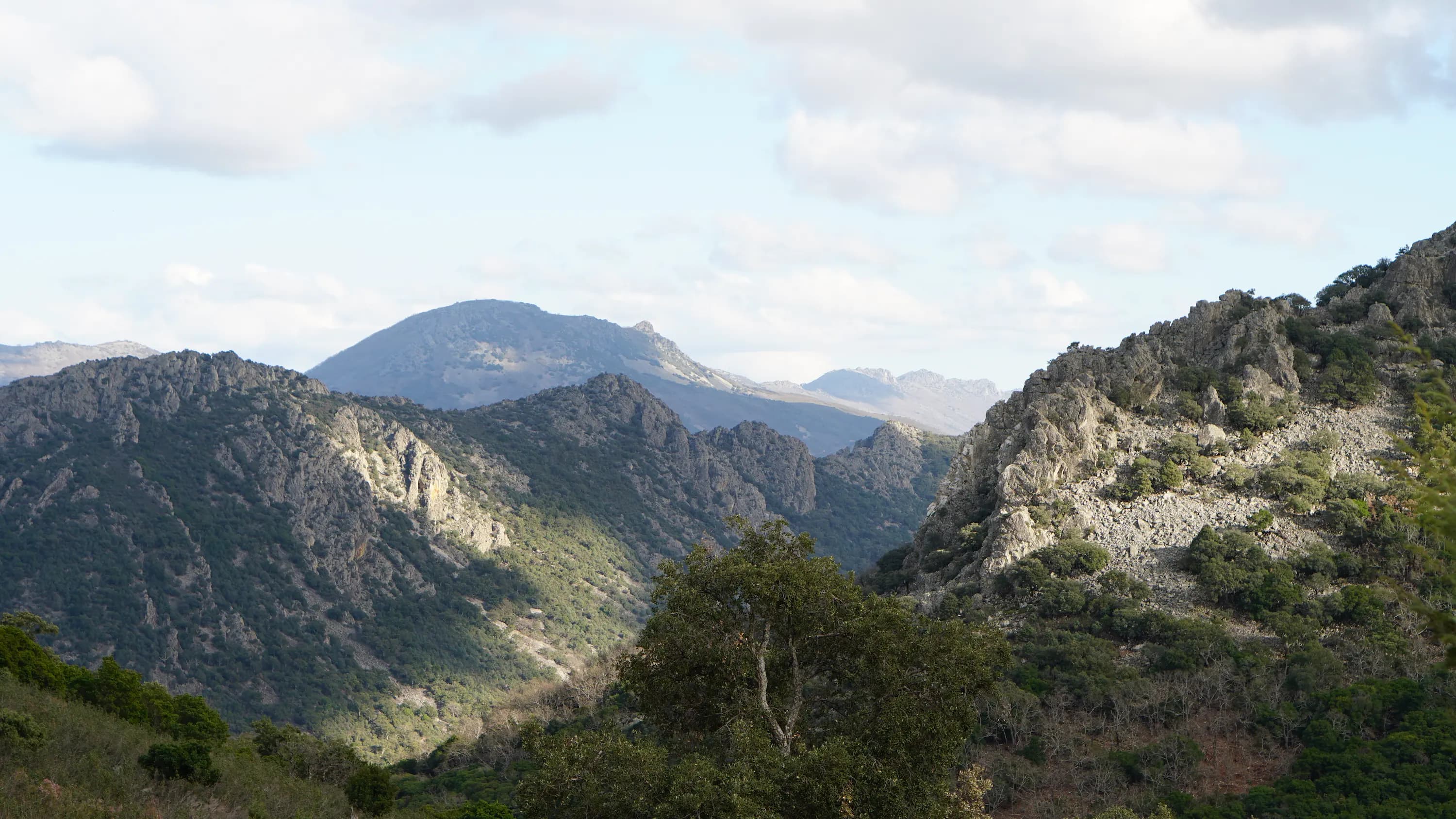 Paysage de chasse espagnol