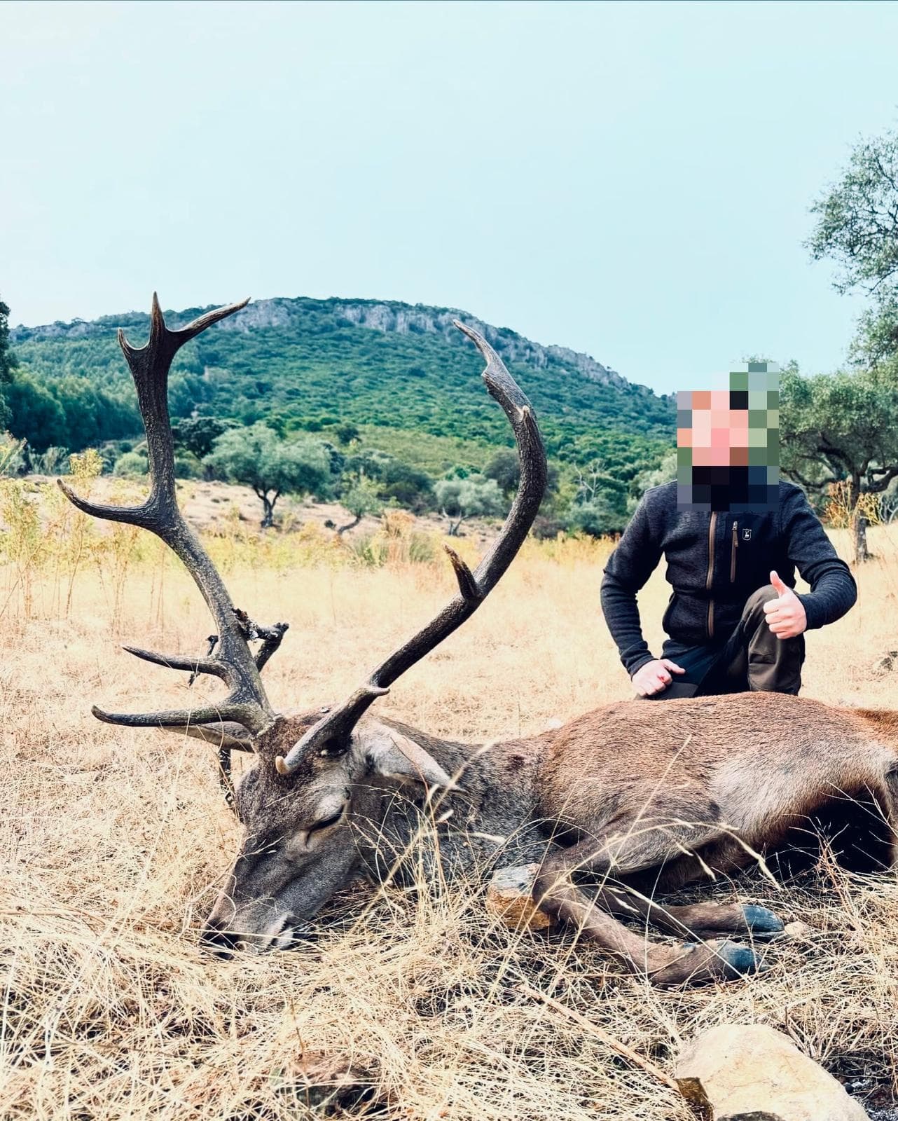 Cerf