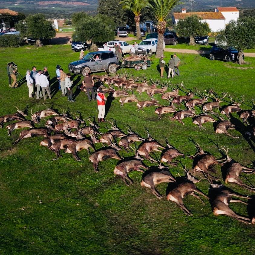 Montería en Espagne